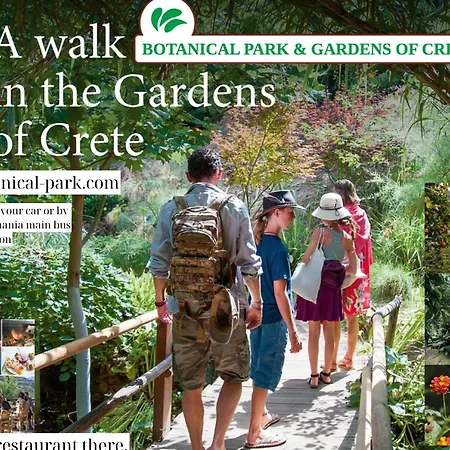 Center Manolia Dream 3 Bedroom 100m Away From The Apartment Chania (Crete)